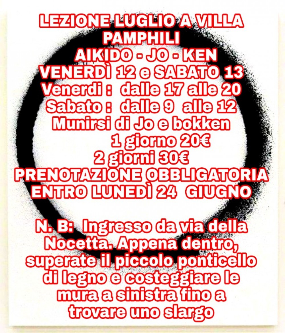 Lezione aikido all'aperto